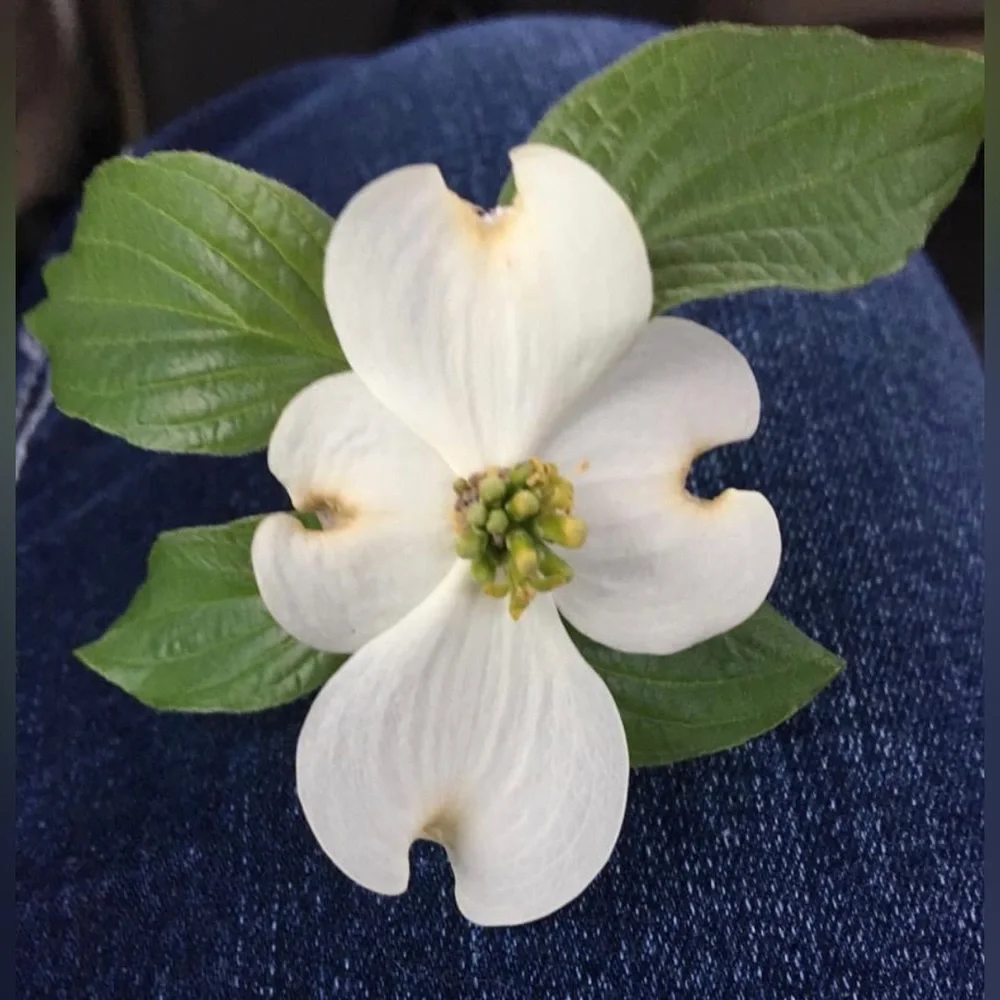 Meet your Posher :-) - Picture 4 of 17